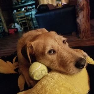 Meet your Posher, Doug